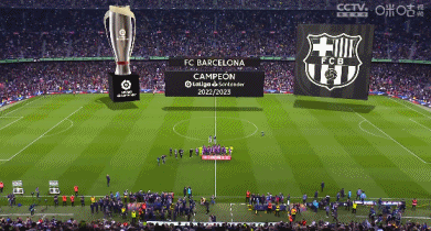 他踢得太聪明了（他踢球太有脑子了）